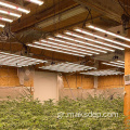 Καλύτερα φυτά LED FLATS LIPE 1200W 1000W Πώληση
